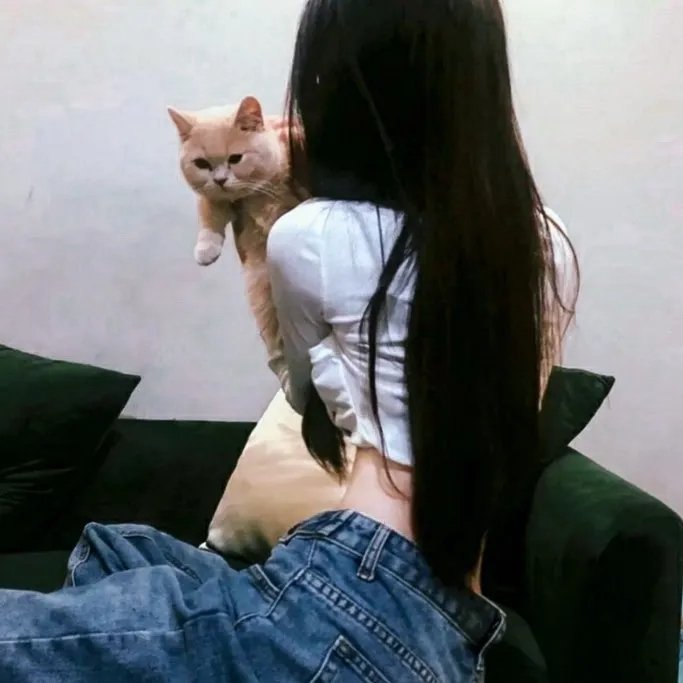 风流何价