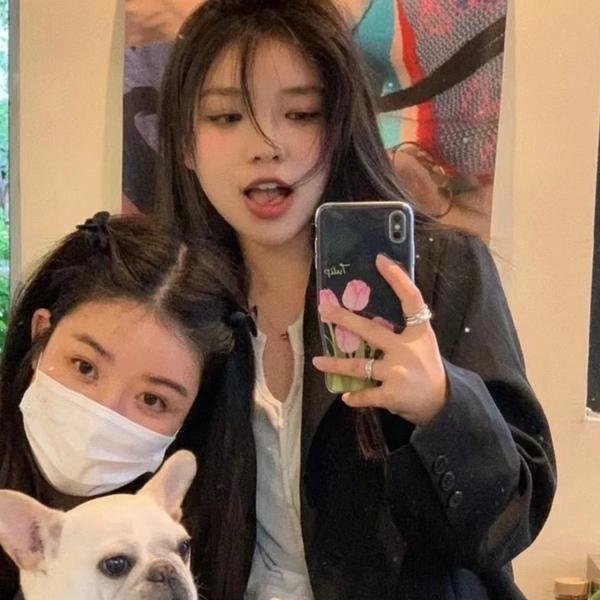 犬犬风尘