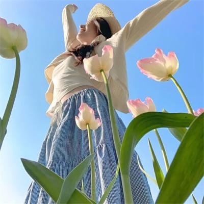 春来定风波